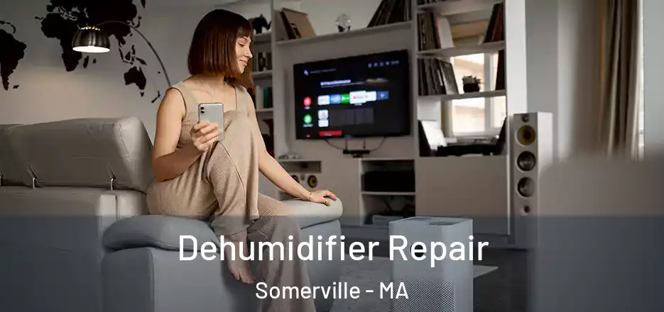 Dehumidifier Repair Somerville - MA