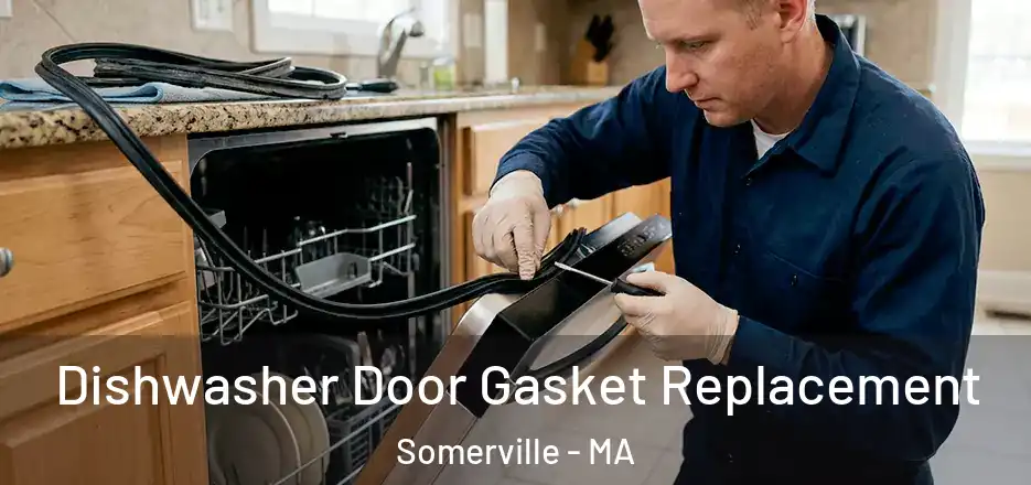 Dishwasher Door Gasket Replacement Somerville - MA