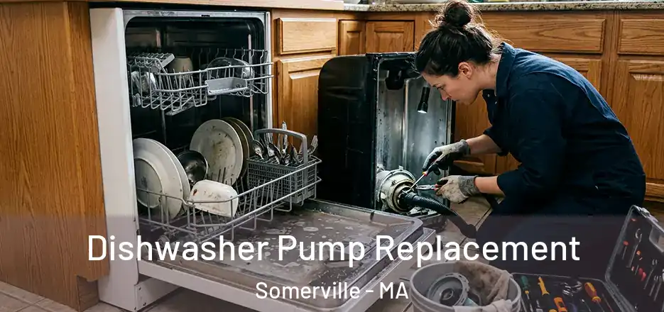 Dishwasher Pump Replacement Somerville - MA