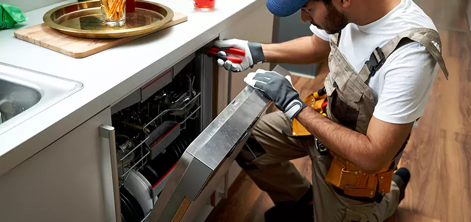 Same Day Dishwasher Not Draining Repair in Somerville
