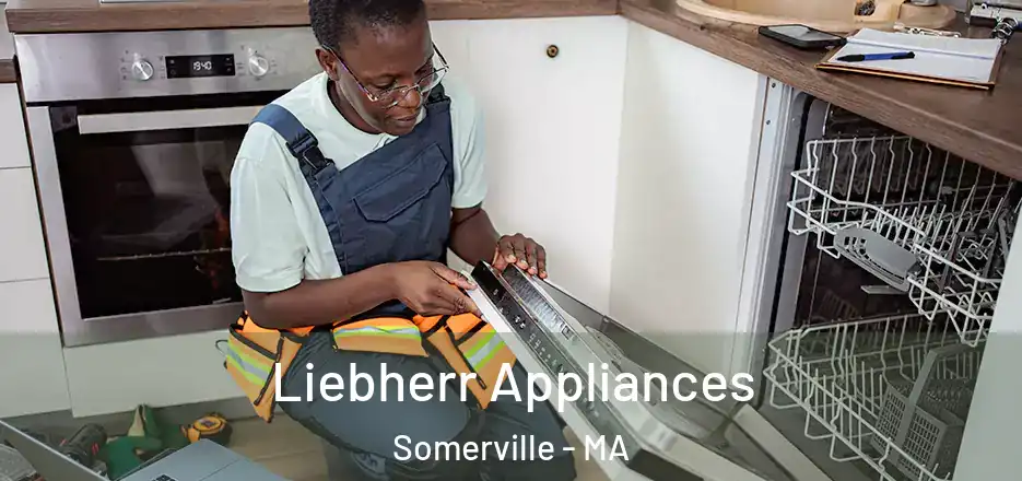 Liebherr Appliances Somerville - MA