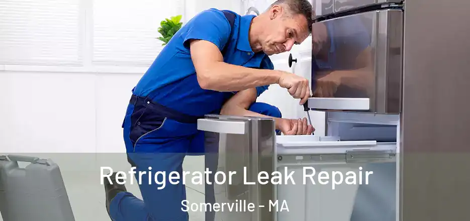  Refrigerator Leak Repair Somerville - MA
