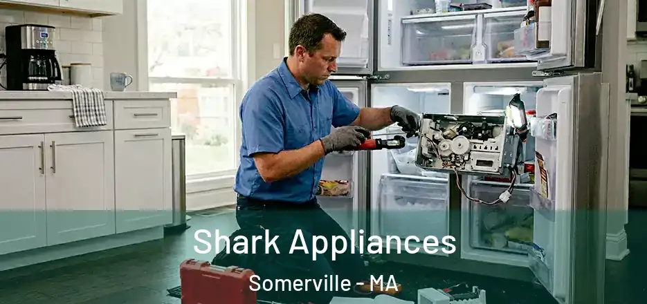 Shark Appliances Somerville - MA