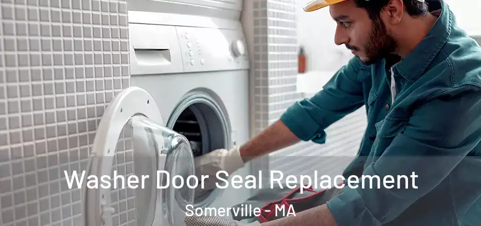 Washer Door Seal Replacement Somerville - MA